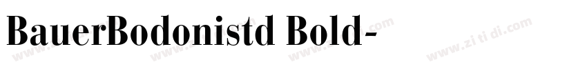 BauerBodonistd Bold字体转换